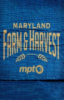 Watch Maryland Farm & Harvest online