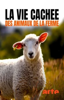 Watch Wild Tales from the Farm online